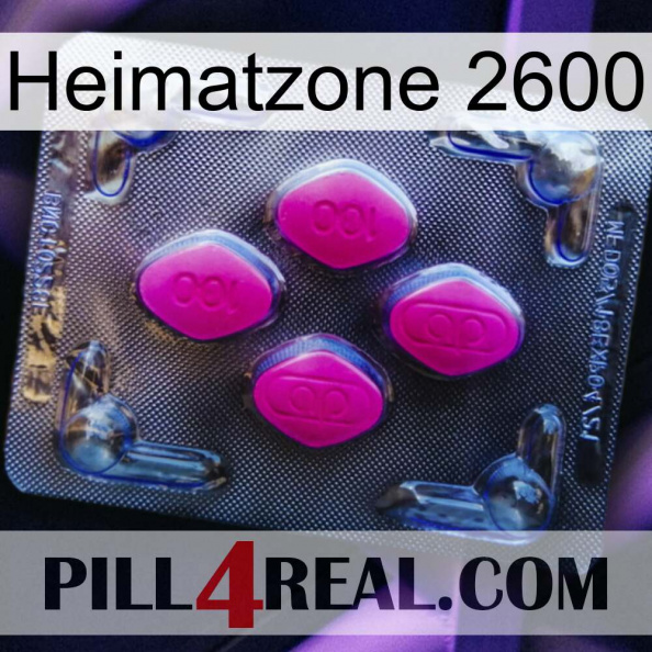 Home Zone 2600 02.jpg